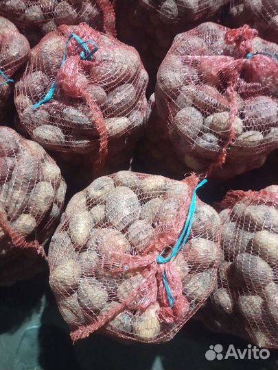 Продам картофель со своего огорода