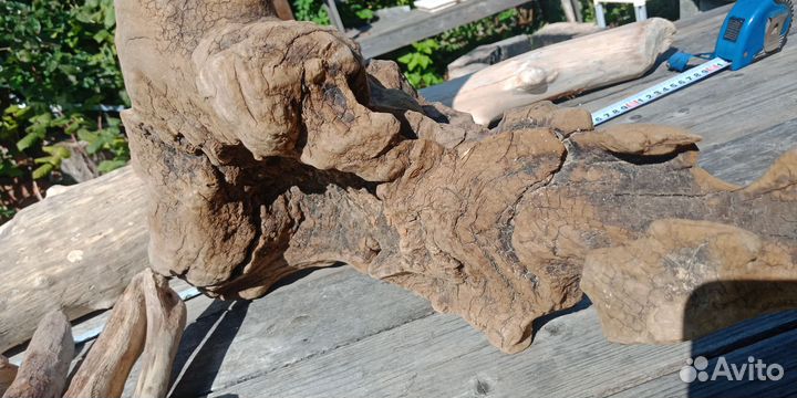 Дрифтвуд,коряги дубовые