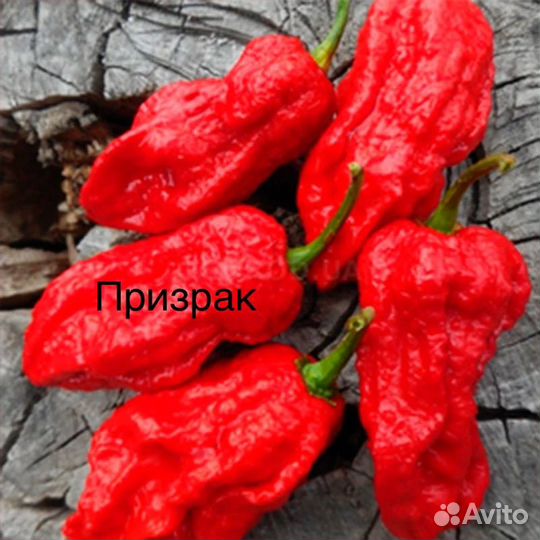 Тринидад скорпион и другие сорта