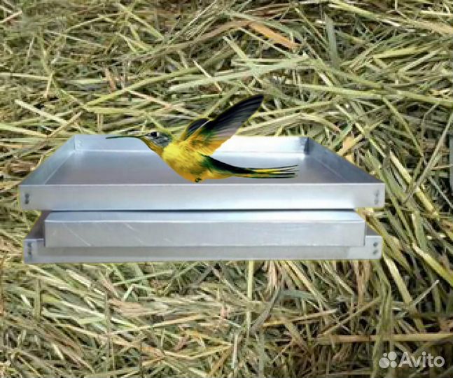 Поддоны на клетки для перепелов и др. С/х птицы