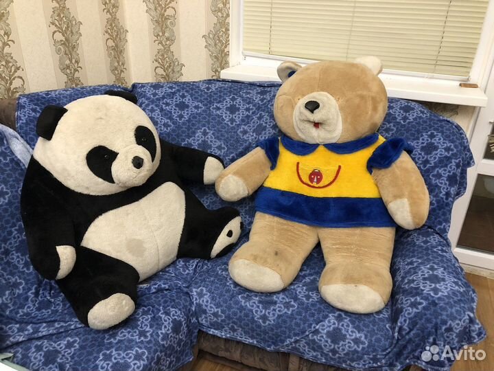 Панда большая