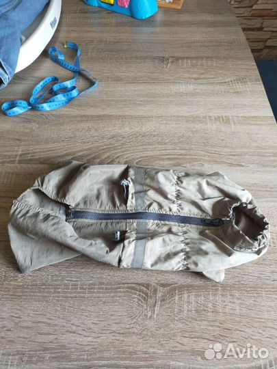 Костюм для собаки