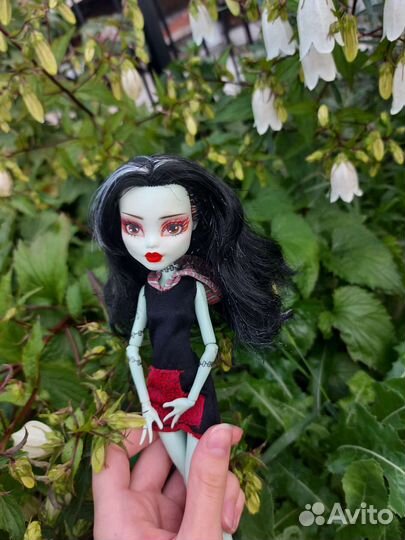 Монстр хай ооак