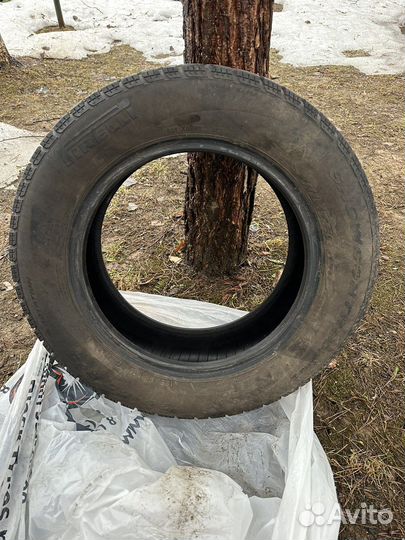 Pirelli Winter 190 Snowcontrol 195/65 R15