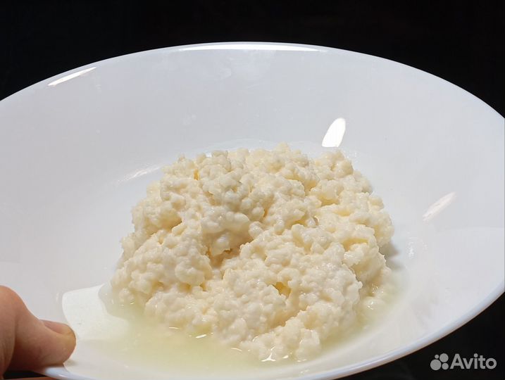 Кефирный гриб (зерно)