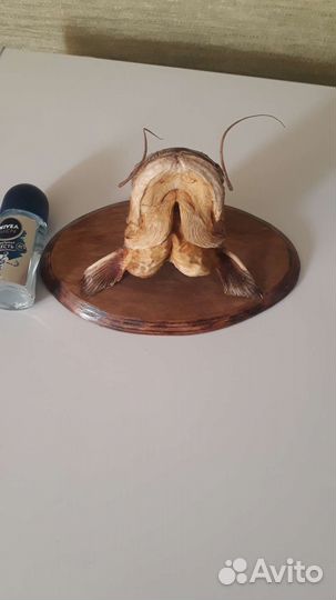 Чучело рыбы