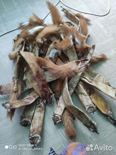 Шкурки соболя и др