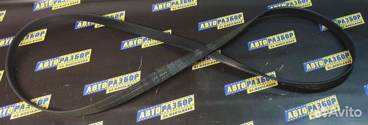 Ремень ручейковый Volkswagen Golf GTI