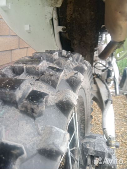 Avantis fx 250 basic