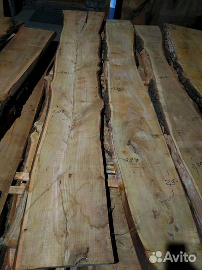 Слэбы Кавказского Карагача высушены