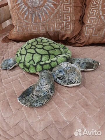 Мягкая Черепаха