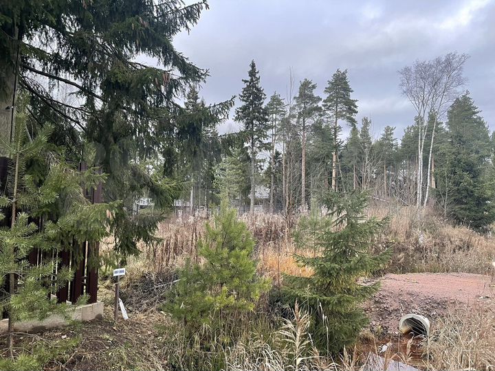 Участок 11 сот. (СНТ, ДНП)