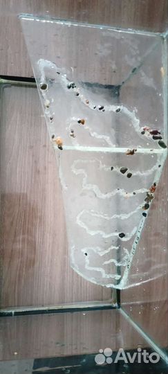 Террариум для красноухой черепахи