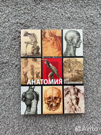 Анатомия для художников. Дюваль Матиас-Мария