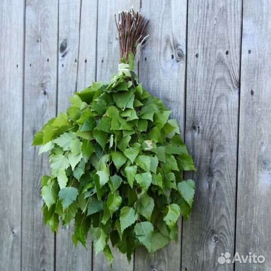 Пихтовые Берёзовые Дубовые веники