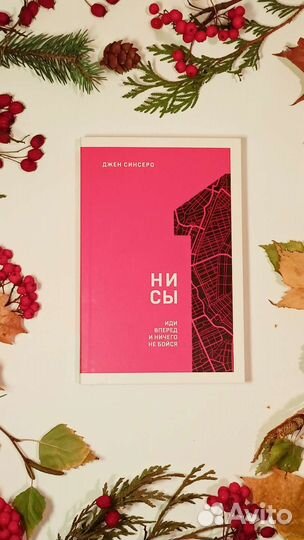 Книга нисы