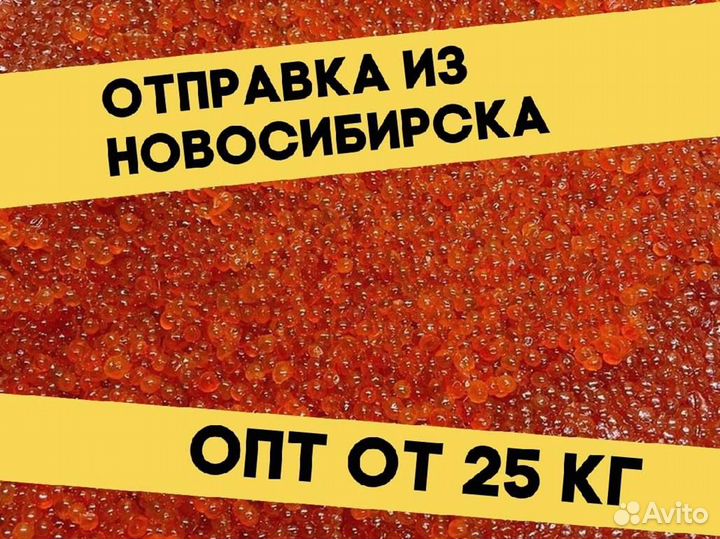 Икра красная нерки, улов июнь 2023 года