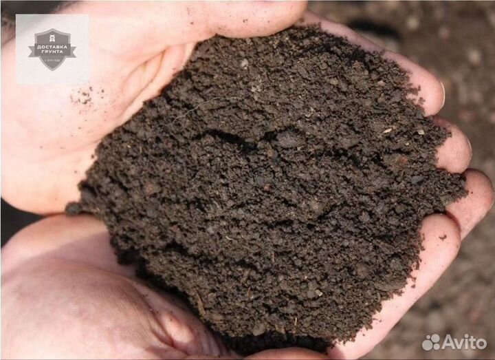 Купить чернозем