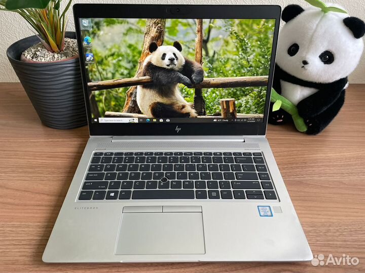 HP 840 g5/ i5-8th/ 8+256/ IPS 14