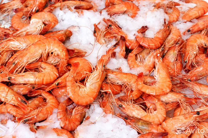 Магазин рыбы и морепродуктов на продажу