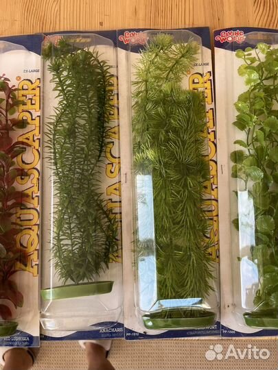 Водоросли для аквариума