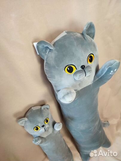 Коты обнимашки Британцы, новые