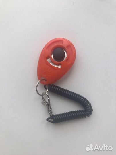 Рулетка, ошейник, кликер и фильтр