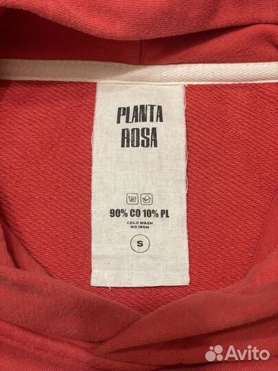 Planta Rosa Худи