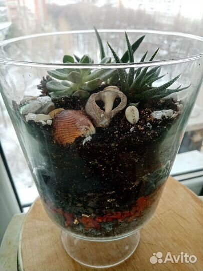 Флорариумы сухие аквариумы