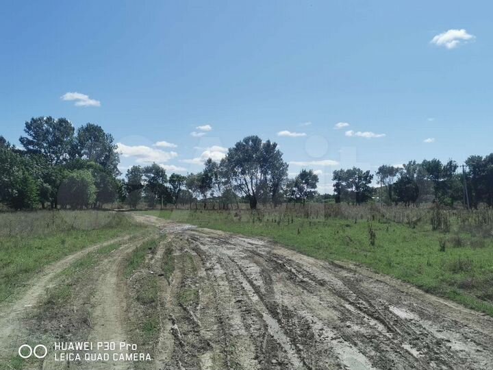 Участок 8,5 сот. (СНТ, ДНП)