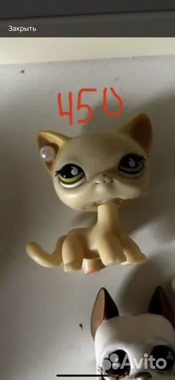 Littlest Pet Shop