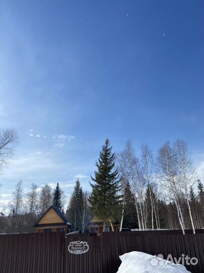 Баня на дровах Елки-Иголки родионово