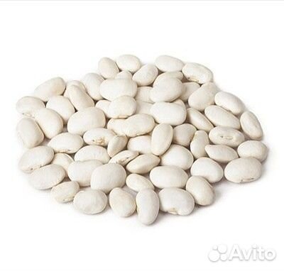 Фасоль белая