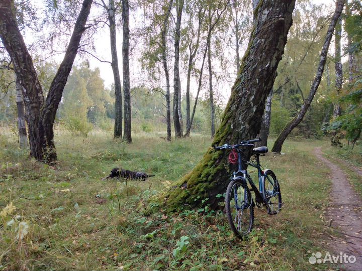 Велосипед Стелс, с Shimano Nexus 8