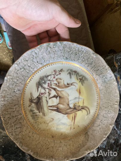 Настенная тарелка