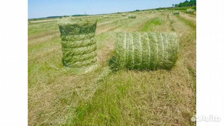 Сено луговое в тюках