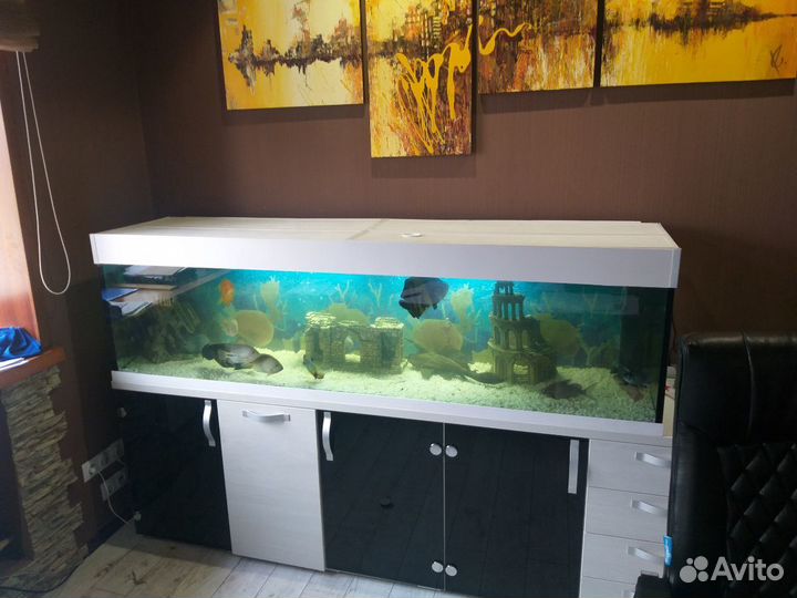 Аквариумы с гарантией