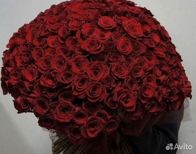 Розы Цветы Букеты 25 51 151 201 101 301 501 опт