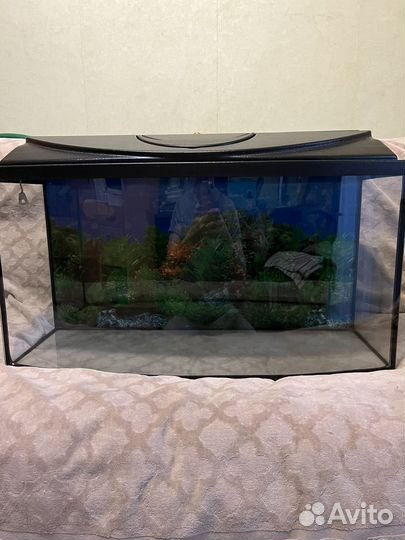 Аквариум