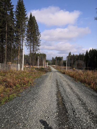 Участок 10 сот. (ИЖС)