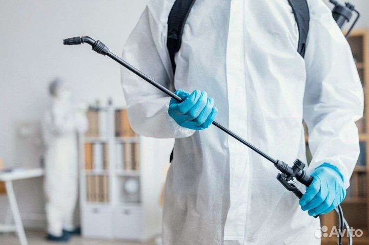Уничтожение насекомых,плесени, запахов