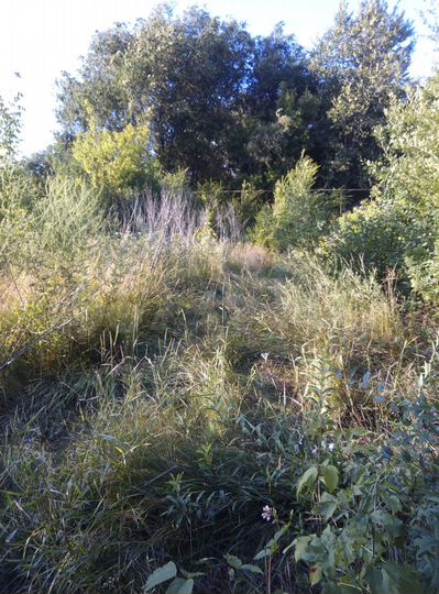 Участок 8 сот. (ИЖС)