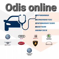 Онлайн доступ в систему Odis services, Москва