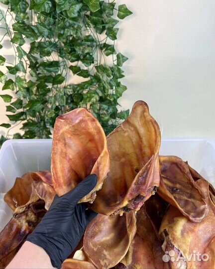 Натуальные лакомства для животных