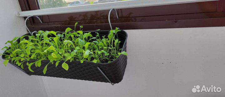 Светодиодный светильник для растений, 2 шт