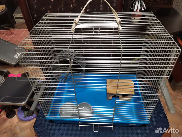 Аксессуары для птиц/ грызунов