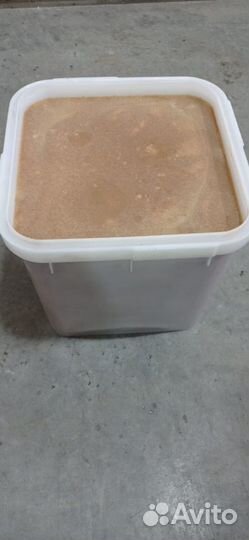 Мед гречишный оптом