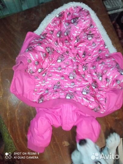 Комбинезон для маленькой собачки