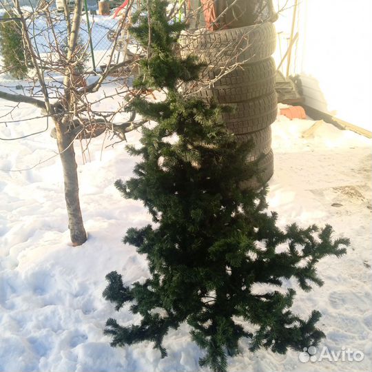 Ель искуственная
