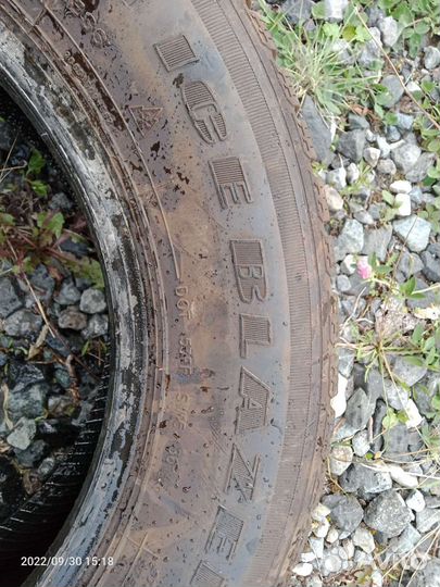 Sailun Ice Blazer Arctic 205/65 R15 94T